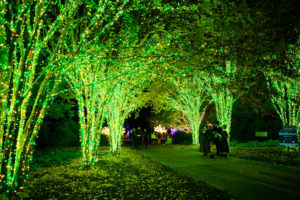 cheekwood-holiday-lights-1